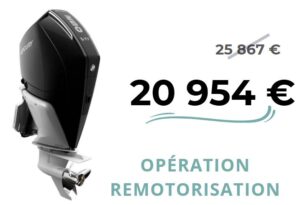 Lire la suite à propos de l’article MERCURY 250 MS